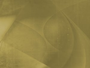SEO优化